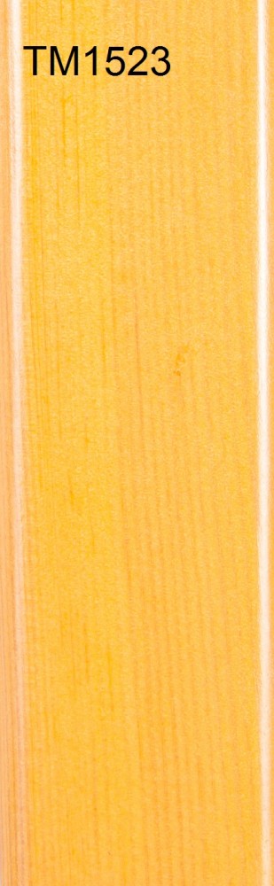 TM1523